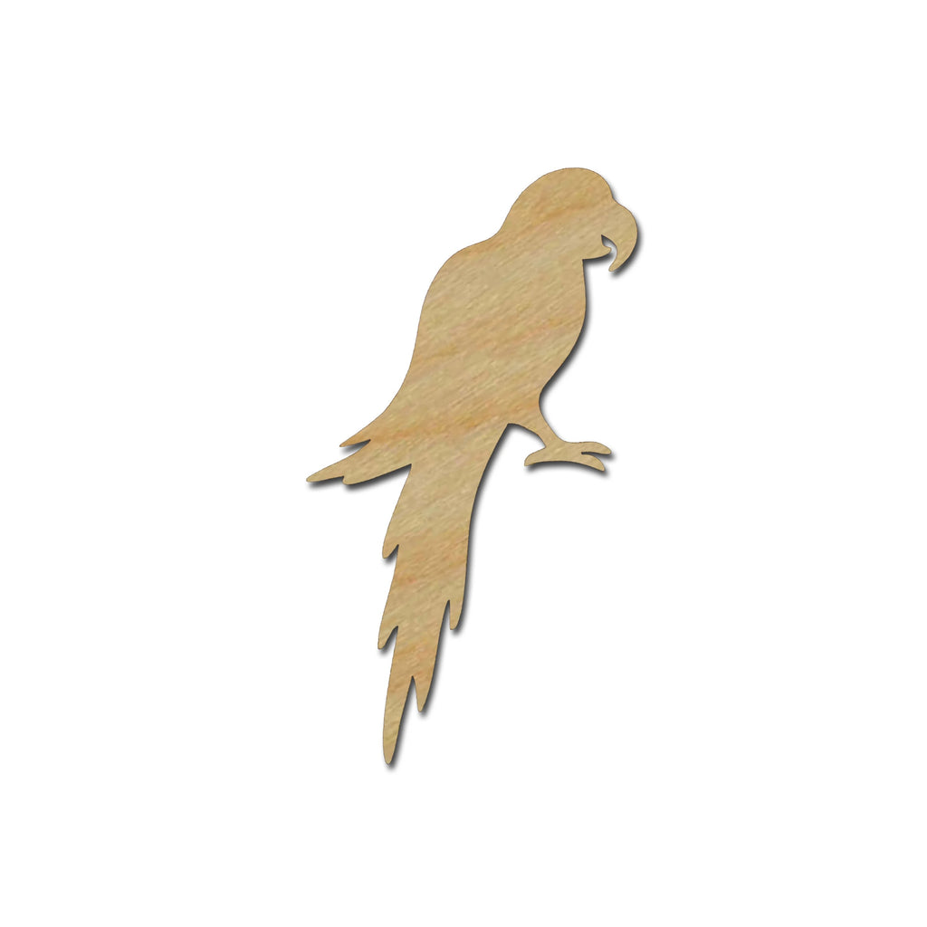 Parrot Unfinished Wood Craft Cut Outs Bird Shapes Variety of Sizes